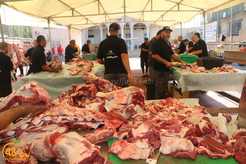 ada7y forthei (110).JPG